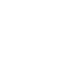 National security icon
